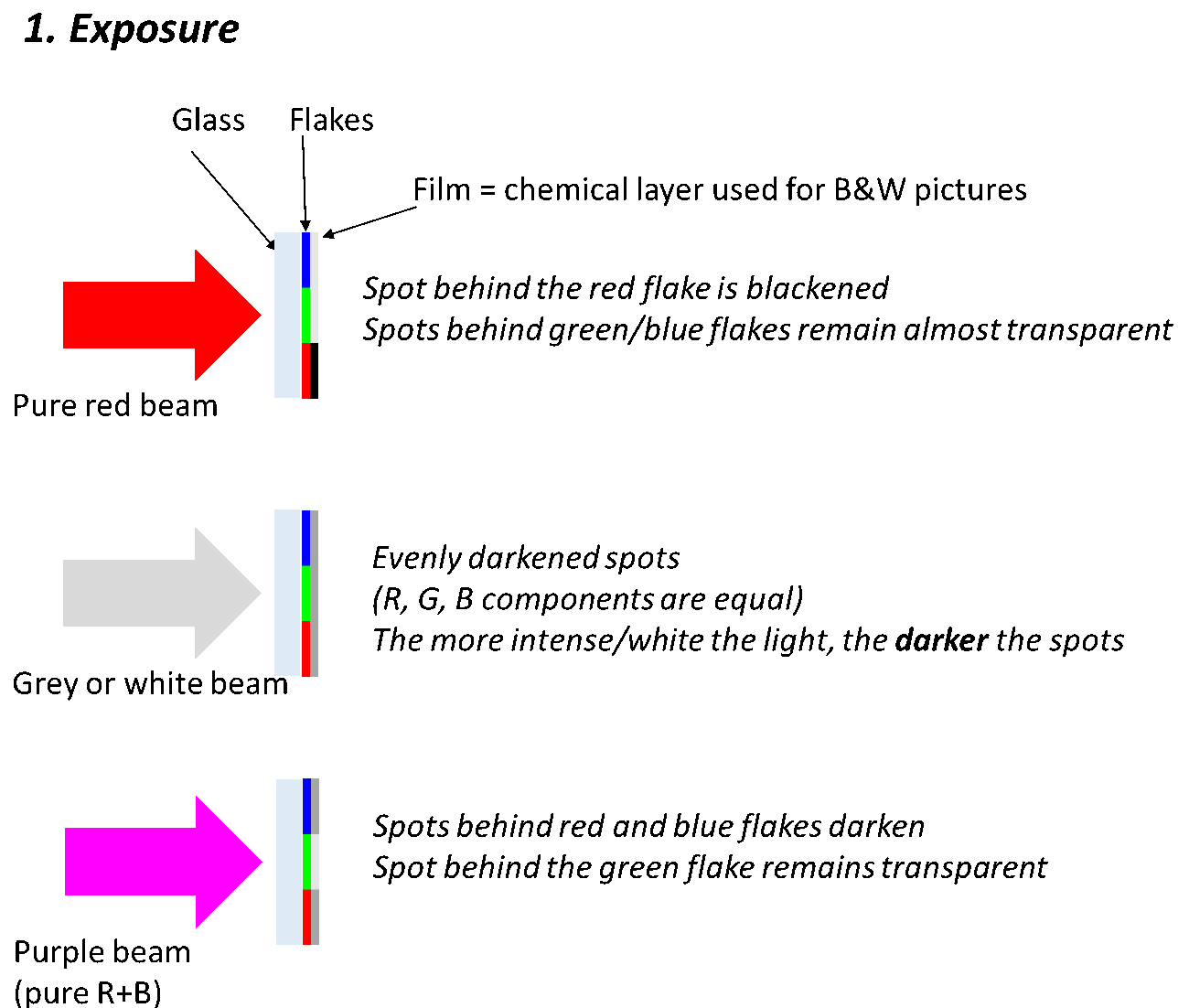 autochromes exposure
